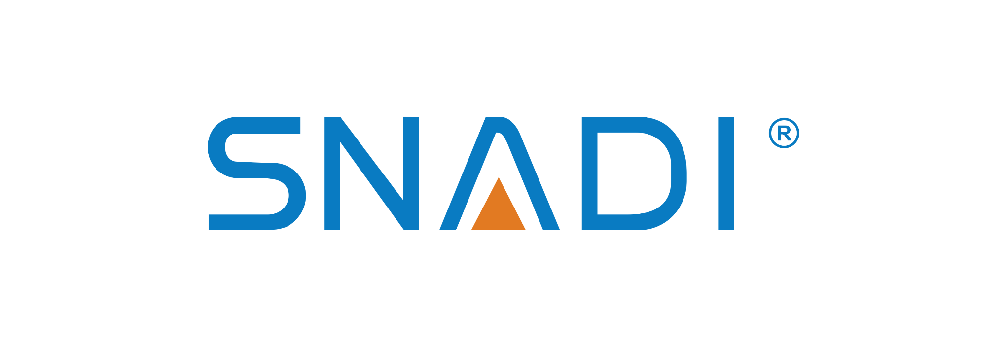 SNADI Solar | Powering a Greener Future SNADI Solar - Leading Global Solar Solutions & Hybrid Inverter Manufacturer