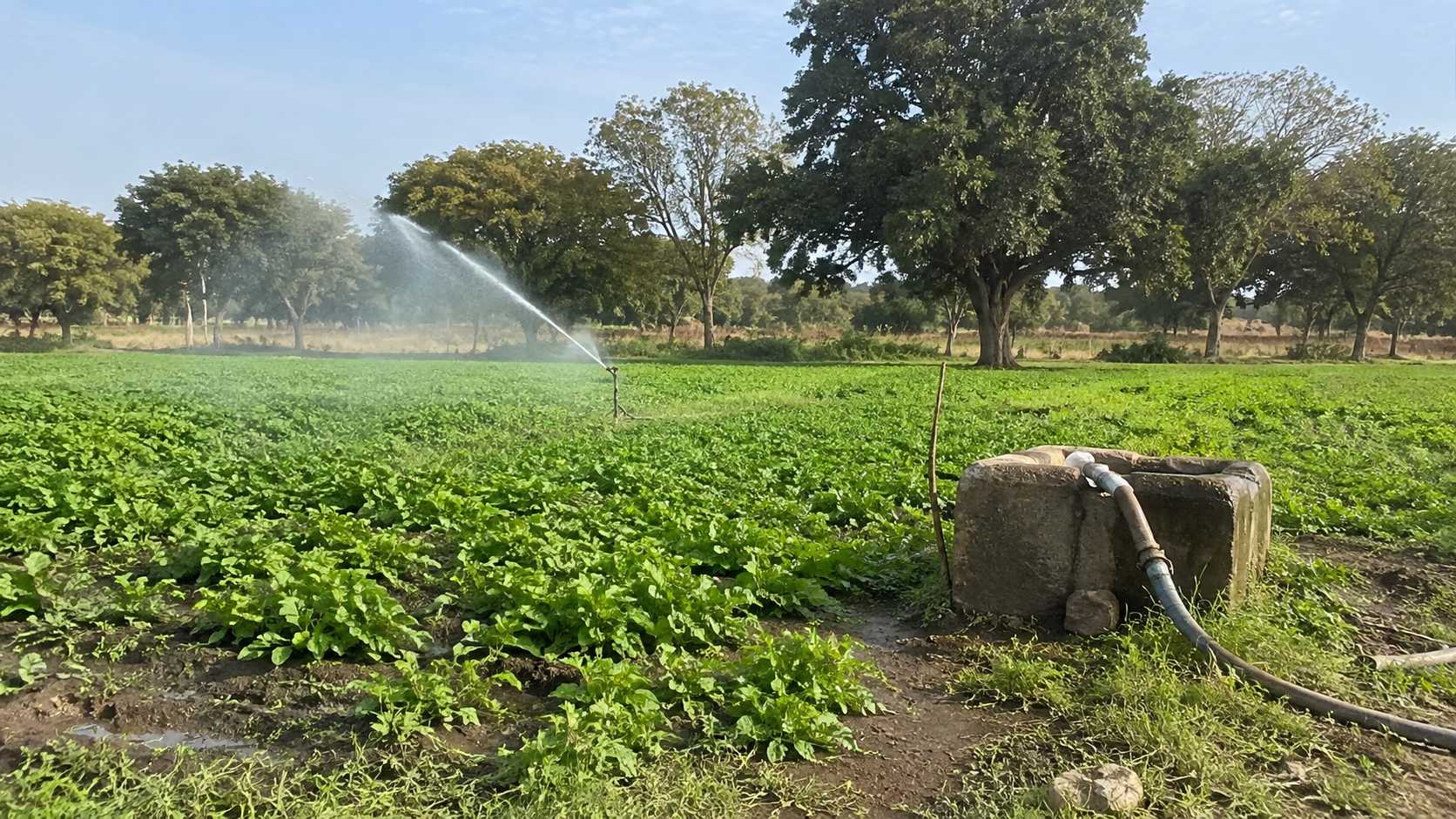 Off Grid Solar System for Farms and Irrigation | SNADI/SNAT Solar Off grid solar system application for farms and irrigation with crop field and water pumping