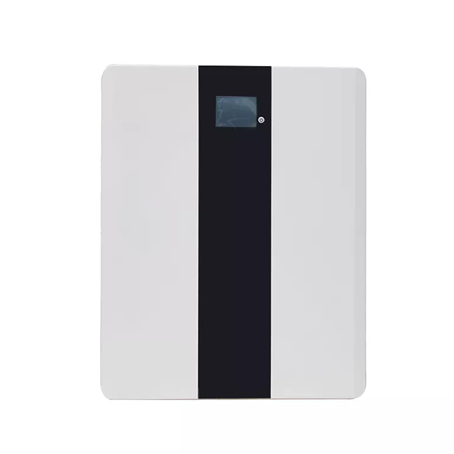 100AH 24V 48V LiFePO4 Lithium Battery for Home Energy Storage