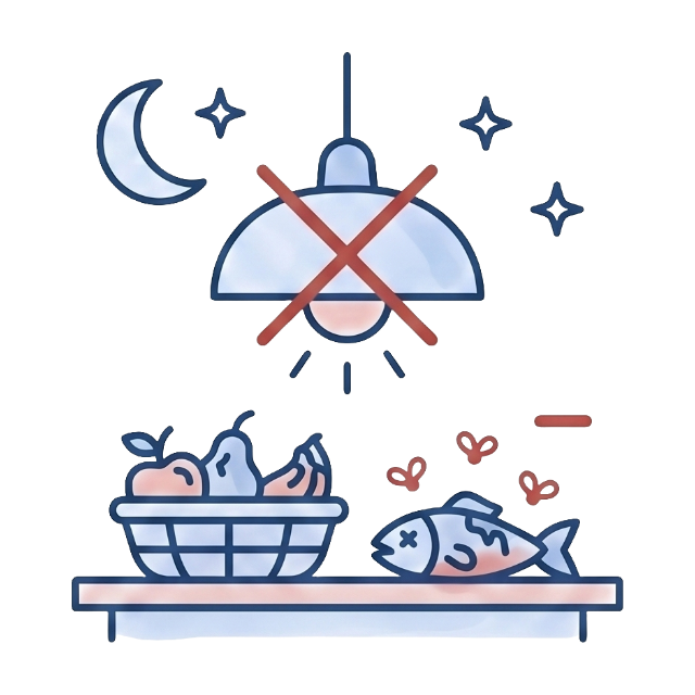 Icon depicting a blackout at night with a crossed-out lamp and spoiled food, highlighting the need for reliable off-grid battery storage.